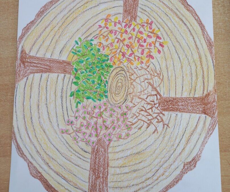 Likovni natječaj “Volim šume”